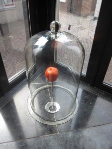 Newtown's Apple